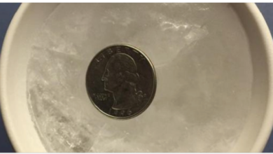 Photo of Why you should always put a coin in the freezer before you leave home